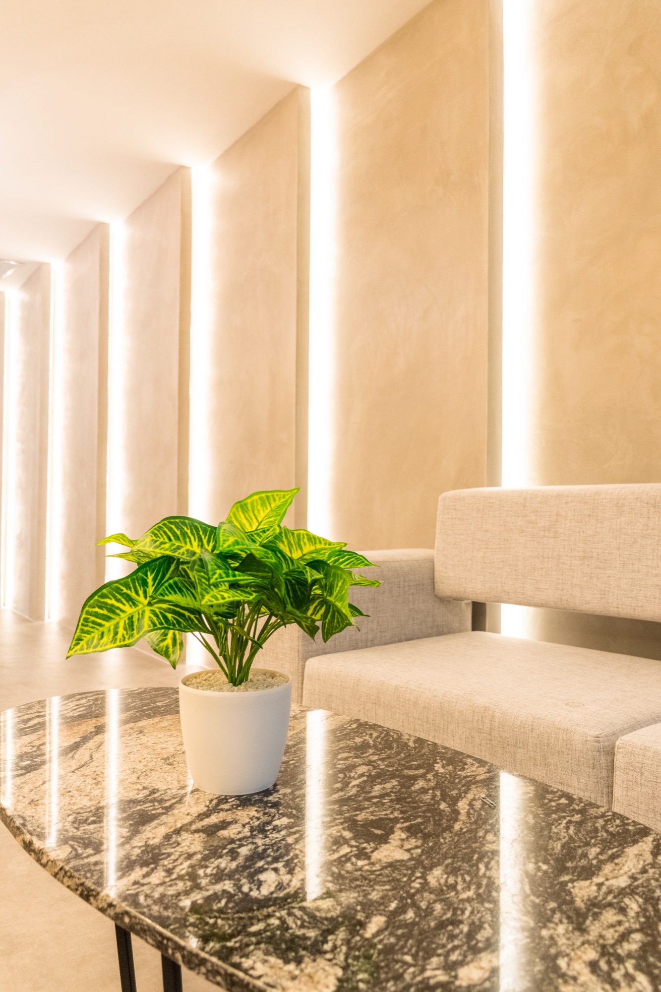 Interior de la clínica Colombia Care Dental en el Edificio Q Office, Medellín